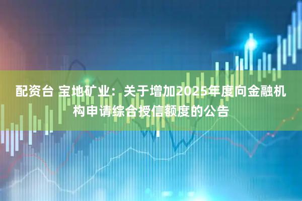 配资台 宝地矿业：关于增加2025年度向金融机构申请综合授信额度的公告